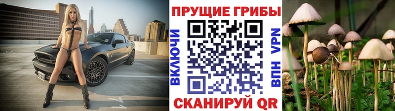 гидра маркетплейс  Лаишево  Галлюциногенные грибы Psilocybine cubensis 